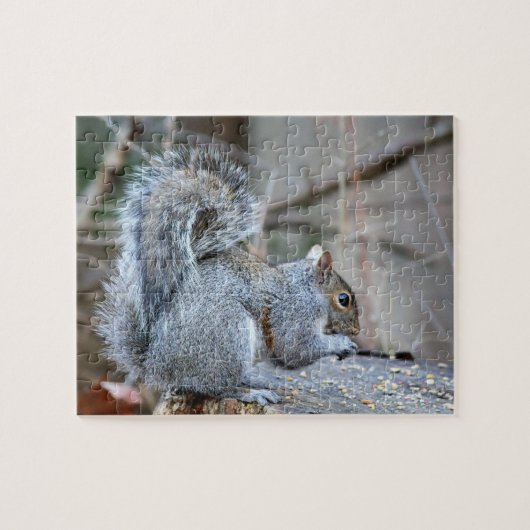 Silver Squirrel Legpuzzel (Horizontaal)
