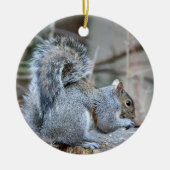 Silver Squirrel Ornament (Voorkant)