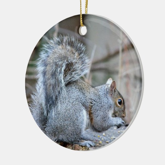 Silver Squirrel Ornament (Links)