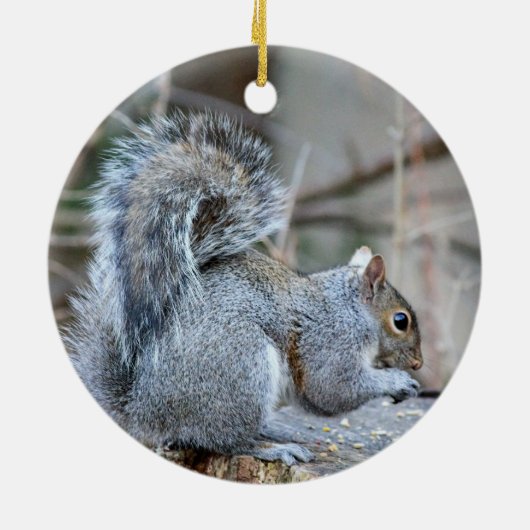 Silver Squirrel Ornament (Achterkant)
