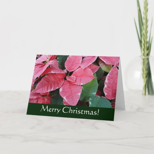 Silver Star Marble Poinsettias Kerst Kaart (Voorkant)