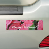 Silver Star Marble Poinsettias Pink Holiday Floral Bumpersticker (Op auto)