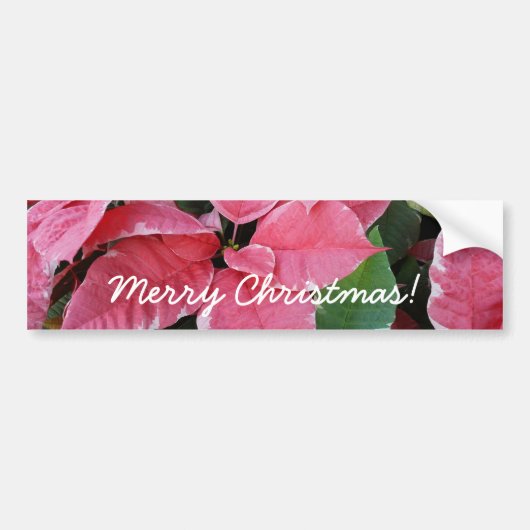 Silver Star Marble Poinsettias Pink Holiday Floral Bumpersticker (Voorkant)