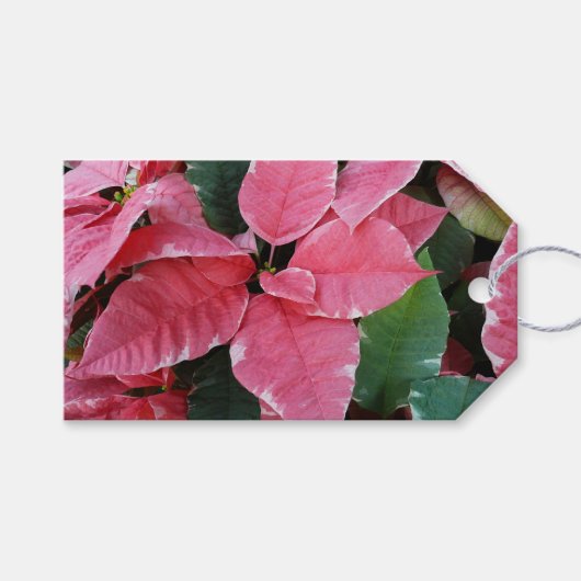 Silver Star Marble Poinsettias Pink Holiday Floral Cadeaulabel (Voorkant (Horizontaal))