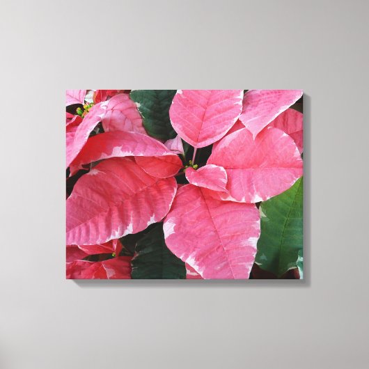 Silver Star Marble Poinsettias Pink Holiday Floral Canvas Afdruk (Voorkant)