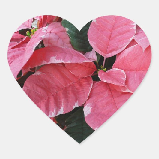 Silver Star Marble Poinsettias Pink Holiday Floral Hart Sticker (Voorkant)