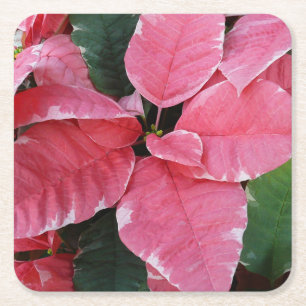 Silver Star Marble Poinsettias Pink Holiday Floral Kartonnen Onderzetters
