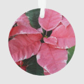 Silver Star Marble Poinsettias Pink Holiday Floral Ornament (achterkant)
