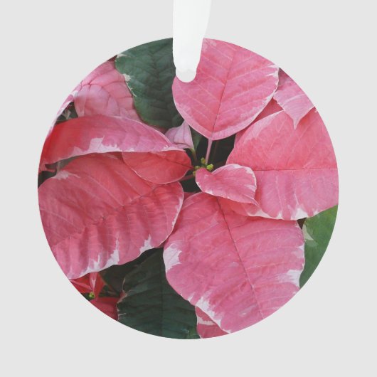 Silver Star Marble Poinsettias Pink Holiday Floral Ornament (voorkant)