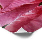 Silver Star Marble Poinsettias Pink Holiday Floral Perfect Poster (Hoek)