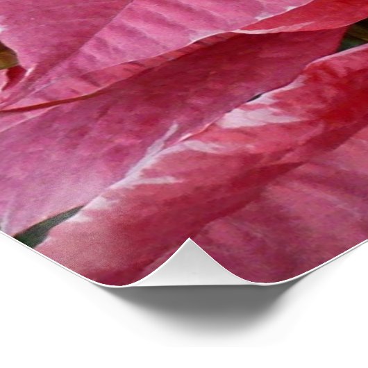 Silver Star Marble Poinsettias Pink Holiday Floral Perfect Poster (Hoek)