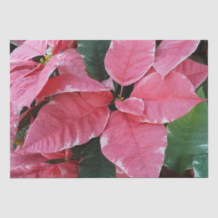 Silver Star Marble Poinsettias Pink Holiday Floral Tissuepapier