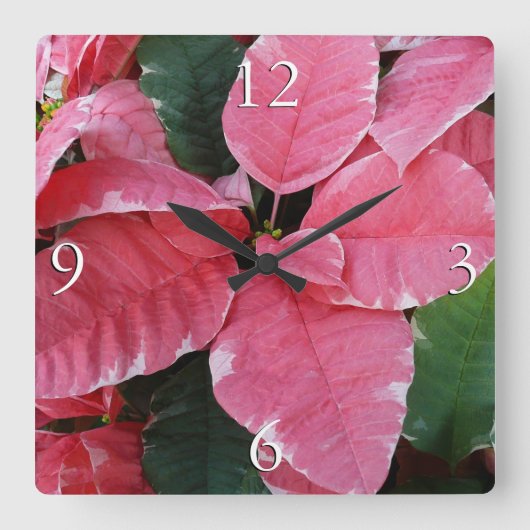Silver Star Marble Poinsettias Pink Holiday Floral Vierkante Klok (Voorkant)