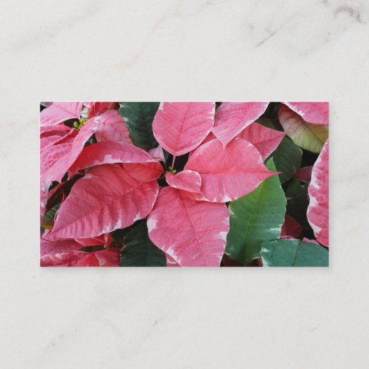Silver Star Marble Poinsettias Pink Holiday Floral Visitekaartje (Achterkant)