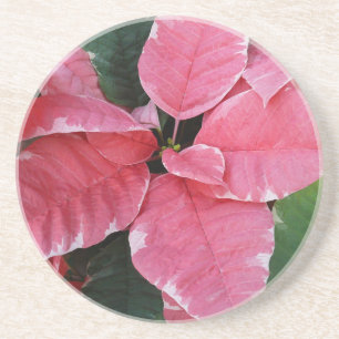 Silver Star Marble Poinsettias Pink Holiday Floral Zandsteen Onderzetter