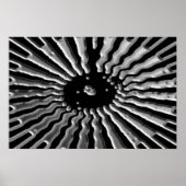 Silver Star - Solar-lexen Poster (Voorkant)