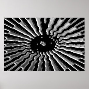 Silver Star - Solar-lexen Poster