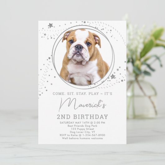 Silver Stars Birthday Personalized Pet Dog Photo Kaart (Staand voorkant)