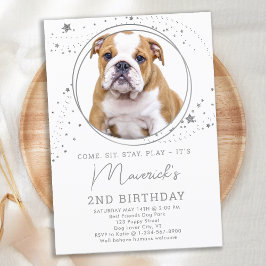 Silver Stars Birthday Personalized Pet Dog Photo Kaart