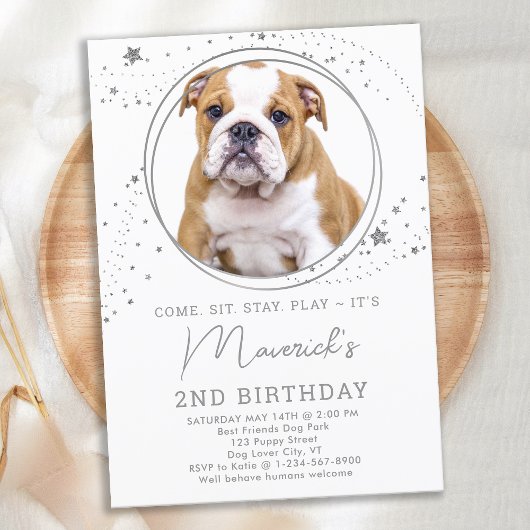 Silver Stars Birthday Personalized Pet Dog Photo Kaart