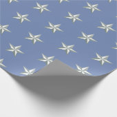 Silver Stars Cadeaupapier (Hoek)
