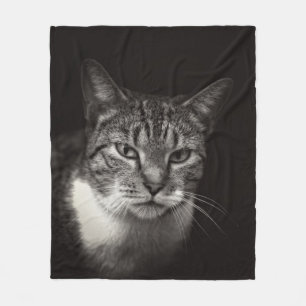 SILVER TABBY CAT FLEECE DEKEN