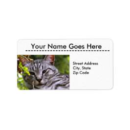 Silver Tabby Cat Head Adresetiketten Etiket