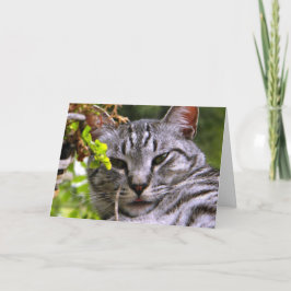 "Silver Tabby Cat Head" Wenskaart met envelop Kaart