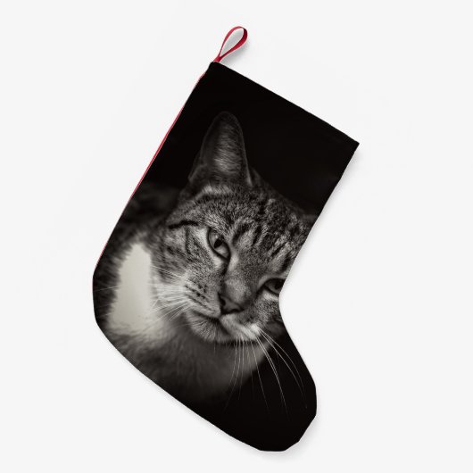 SILVER TABBY CAT KLEINE KERSTSOK (Voorkant (Hangend))