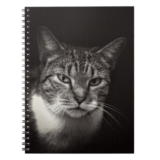 SILVER TABBY CAT NOTITIEBOEK (Voorkant)