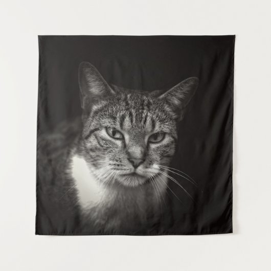 SILVER TABBY CAT WANDKLEED (Voorkant)