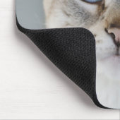 Silver Tabby Siamese Muismat (Hoek)