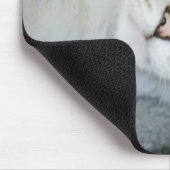 Silver Tabby Siamese Muismat (Hoek)