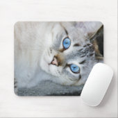 Silver Tabby Siamese Muismat (Met muis)