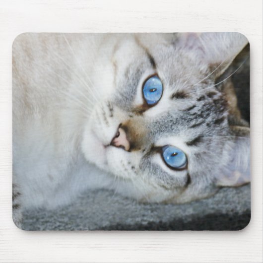 Silver Tabby Siamese Muismat (Voorkant)