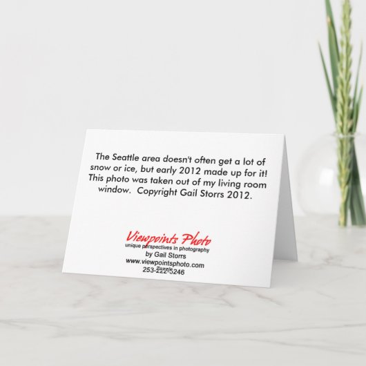 Silver Thaw Christmas Kaart (Achterkant)