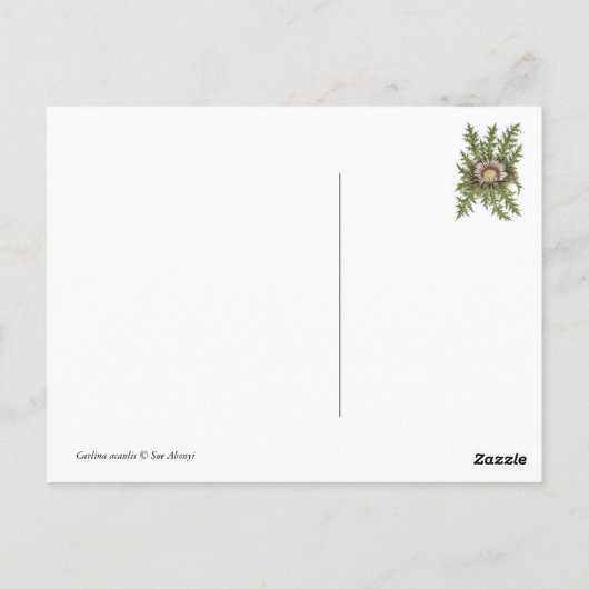 Silver Thistle Collectie Briefkaart (Achterkant)