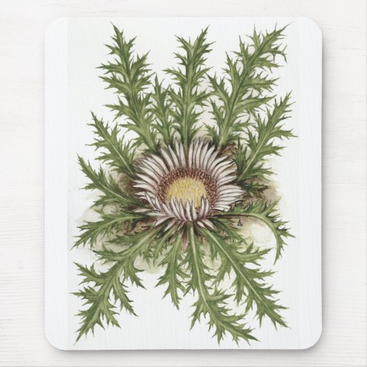 Silver Thistle Collectie Muismat (Voorkant)