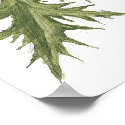 Silver Thistle - Sue Abonyi Poster (Hoek)