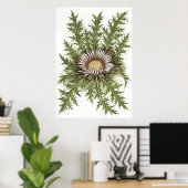 Silver Thistle - Sue Abonyi Poster (Thuiskantoor)