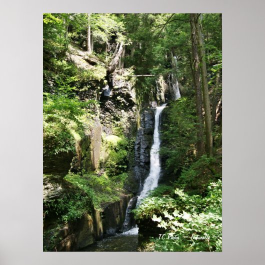 Silver Thread Herfsten Poster (Voorkant)