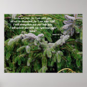 Silver Tip Fir Tree Isaiah 41:10 Afdruk Poster (Voorkant)