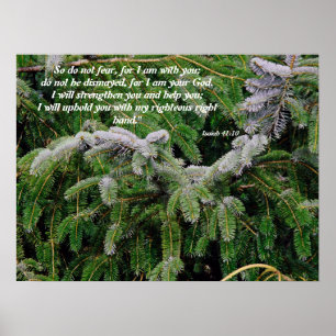 Silver Tip Fir Tree Isaiah 41:10 Afdruk Poster