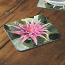 Silver Vase Plant Bloom Floral