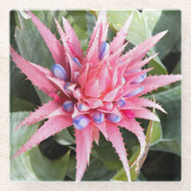 Silver Vase Plant Bloom Floral