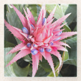 Silver Vase Plant Bloom Floral Glazen Onderzetter