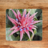 Silver Vase Plant Bloom Floral Snijplank