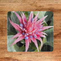 Silver Vase Plant Bloom Floral