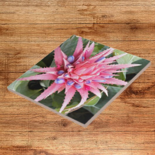 Silver Vase Plant Bloom Floral Tegeltje