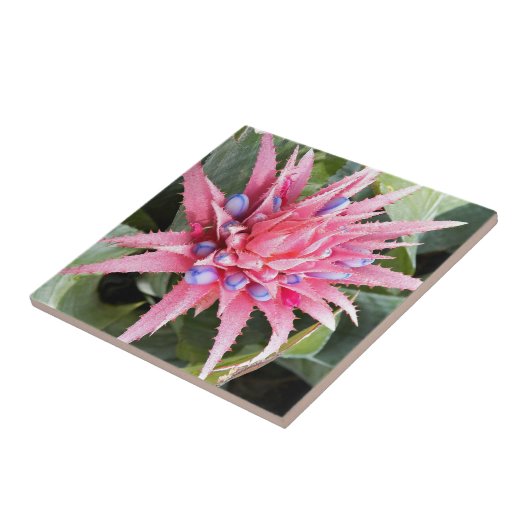 Silver Vase Plant Bloom Floral Tegeltje (Zijkant)